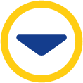 Dropdown Icon